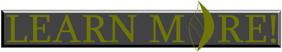 Learn More Button